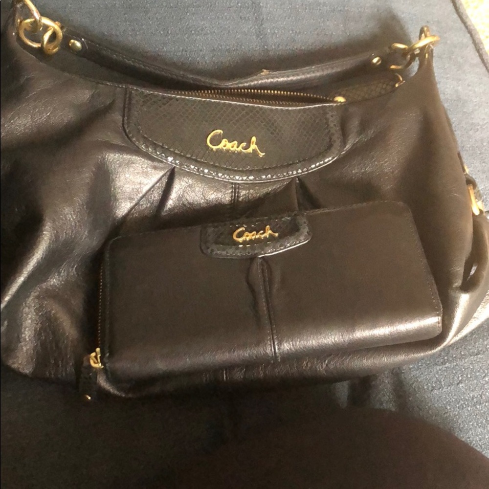 Coach Ashley leather Hobo purse & wallet